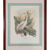 Pair of original lithographs signed in pencil by Gail Denise Darroll