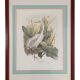 Paire de lithographies originales signées au crayon Gail Denise Darroll