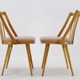 1960s Antonin Suman Set of Four Dining chairs in Beech Wood , Czechoslovakia