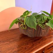 West Germany ceramic pot / bowl
