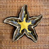 Ceramic starfish