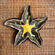 Ceramic starfish