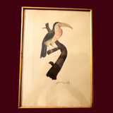 Toucan - 19th century watercolour original drawing