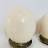 Pair of ostrich eggs on base, early 20th