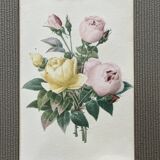 Botanical flower frame