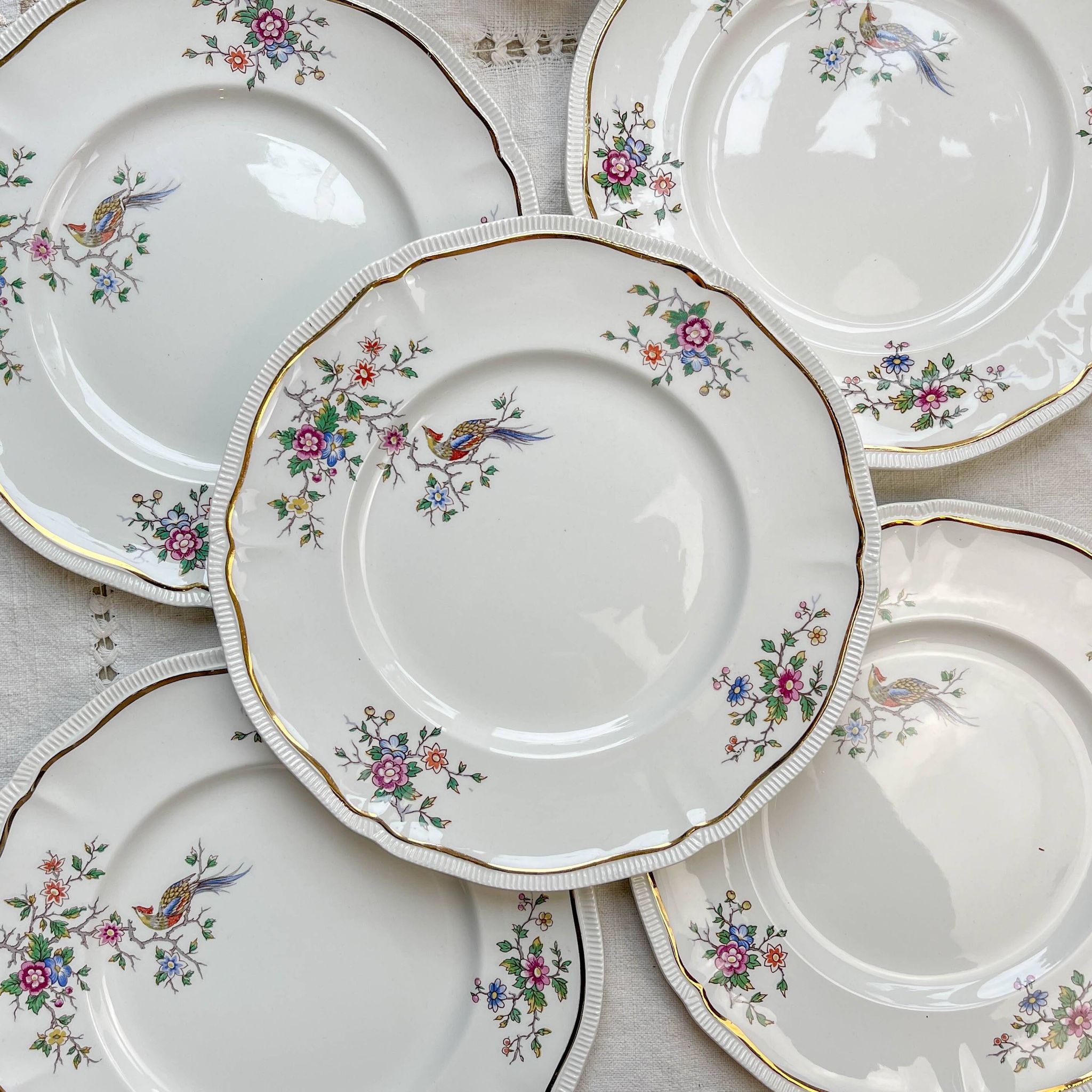5 Vintage Longchamp Chantilly Porcelain Dinner Plates - Bird Motif