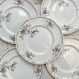 5 Vintage Longchamp Chantilly Porcelain Dinner Plates - Bird Motif