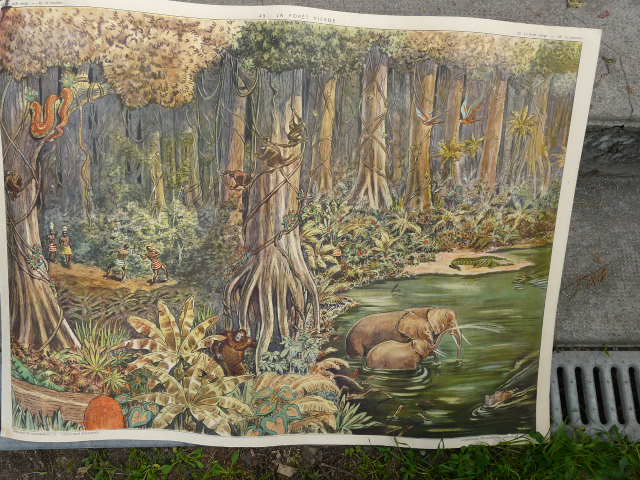 School poster Rossignol collection years 50,N° 45 and 46 the tundra - the virgin forest