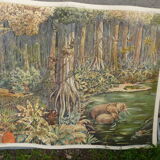 School poster Rossignol collection years 50,N° 45 and 46 the tundra - the virgin forest