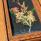 Vintage Cana of dried flowers with Edelweiss