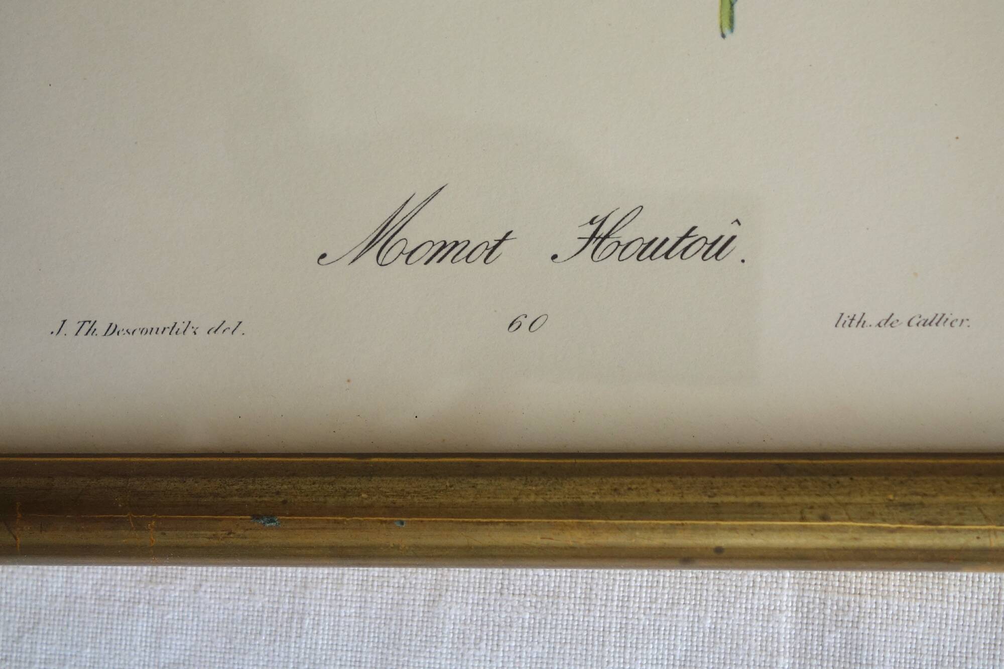 3 framed antique bird engravings