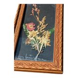 Vintage Cana of dried flowers with Edelweiss