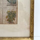 Lithograph botanical plate enhanced with watercolour.