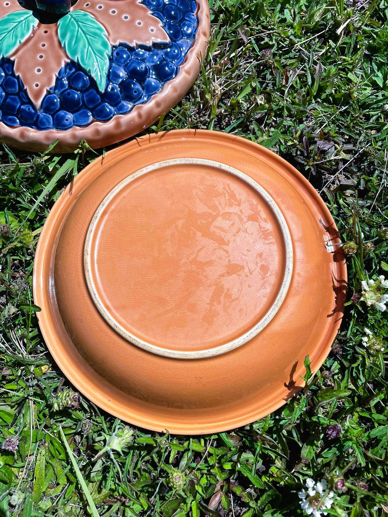 Illusion pie dish blueberry pie