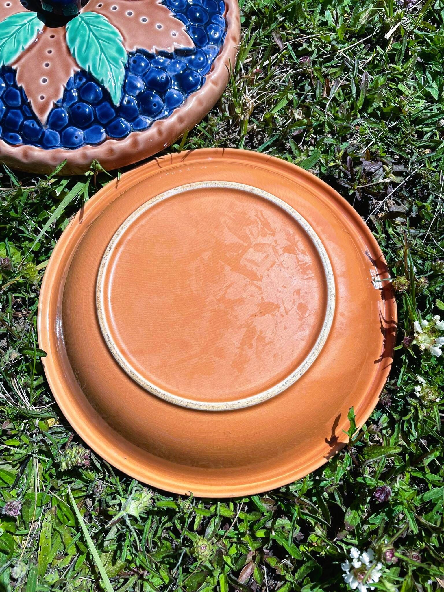Illusion pie dish blueberry pie
