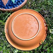 Illusion pie dish blueberry pie