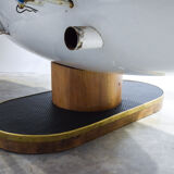 Airplane ride subject