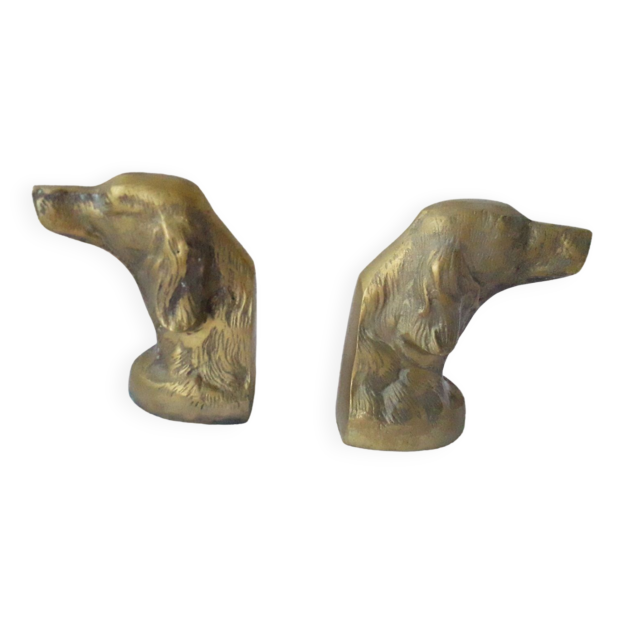 Pair of dog bookends