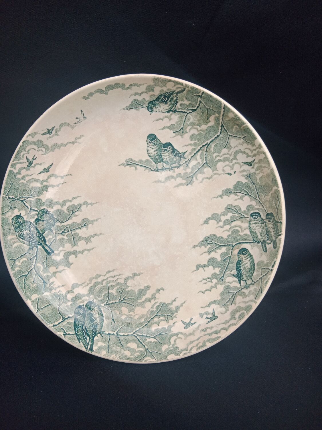 Compotier Sarreguemines