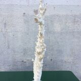 Coral branch 46 x 31 cm on alabaster marble base