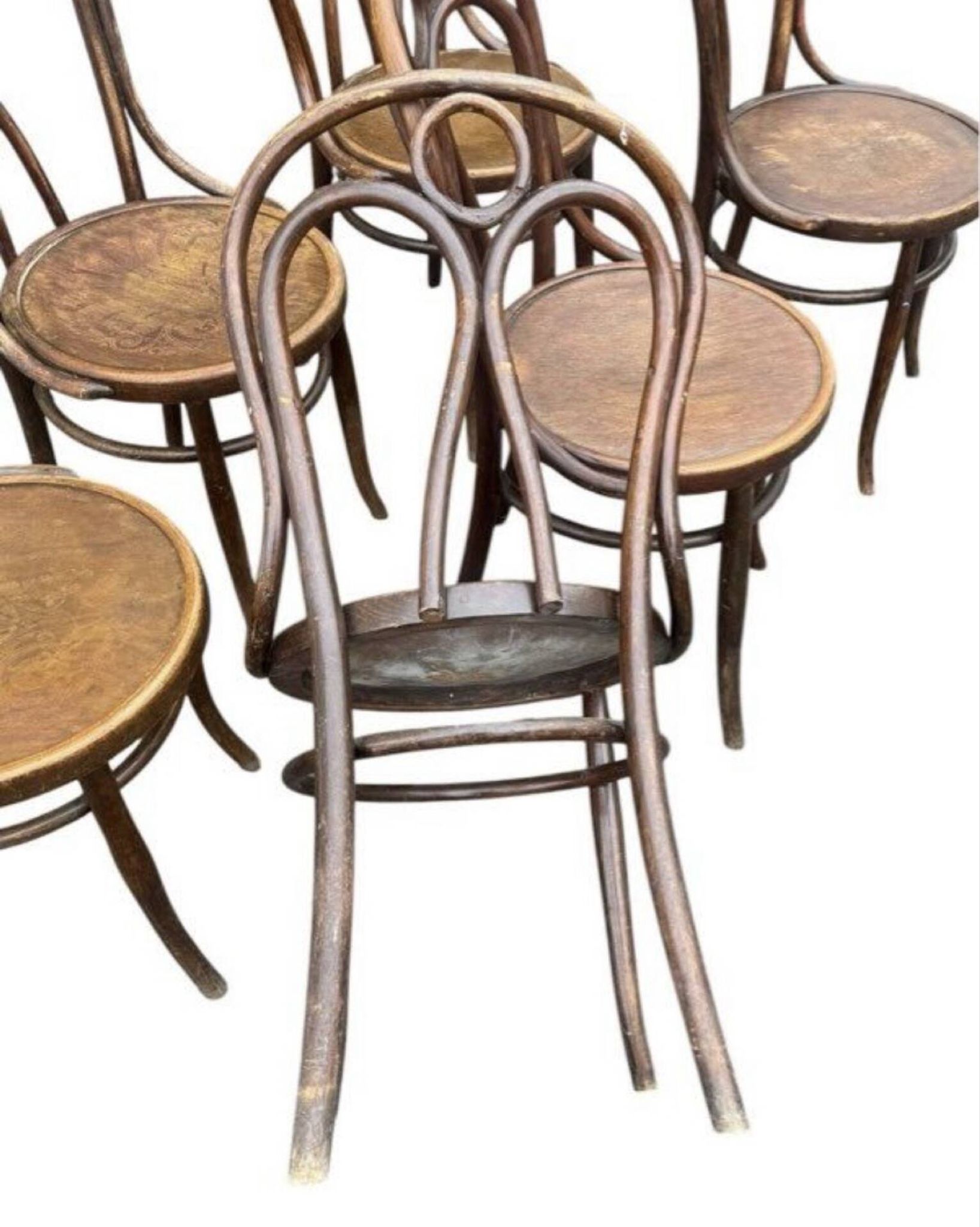 6 chaises Hofmann Bielitz (Modèle N°18, période 1900-1915)