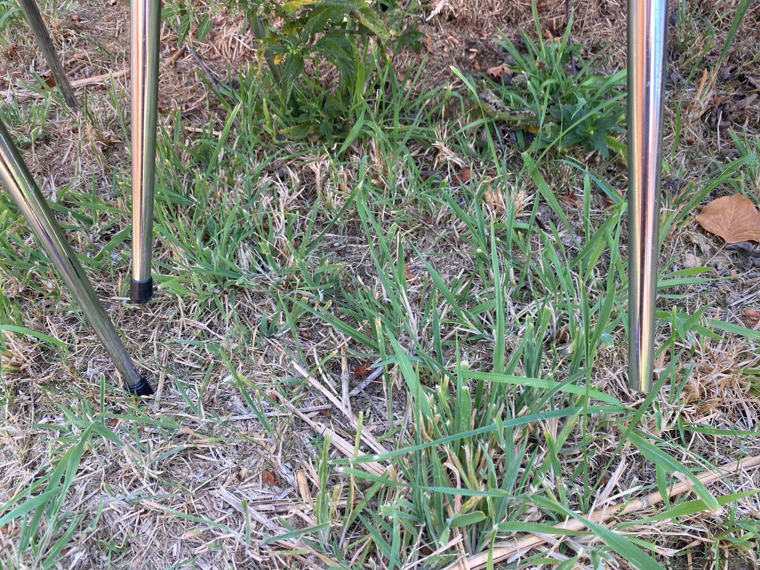 Two Tublac chairs in Skaï and chrome