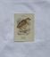🐦 Botanical Plate Engraving of Birds Naturalist 19th Century Double-sided A