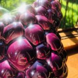 Vintage grape slush pitcher made in Italy