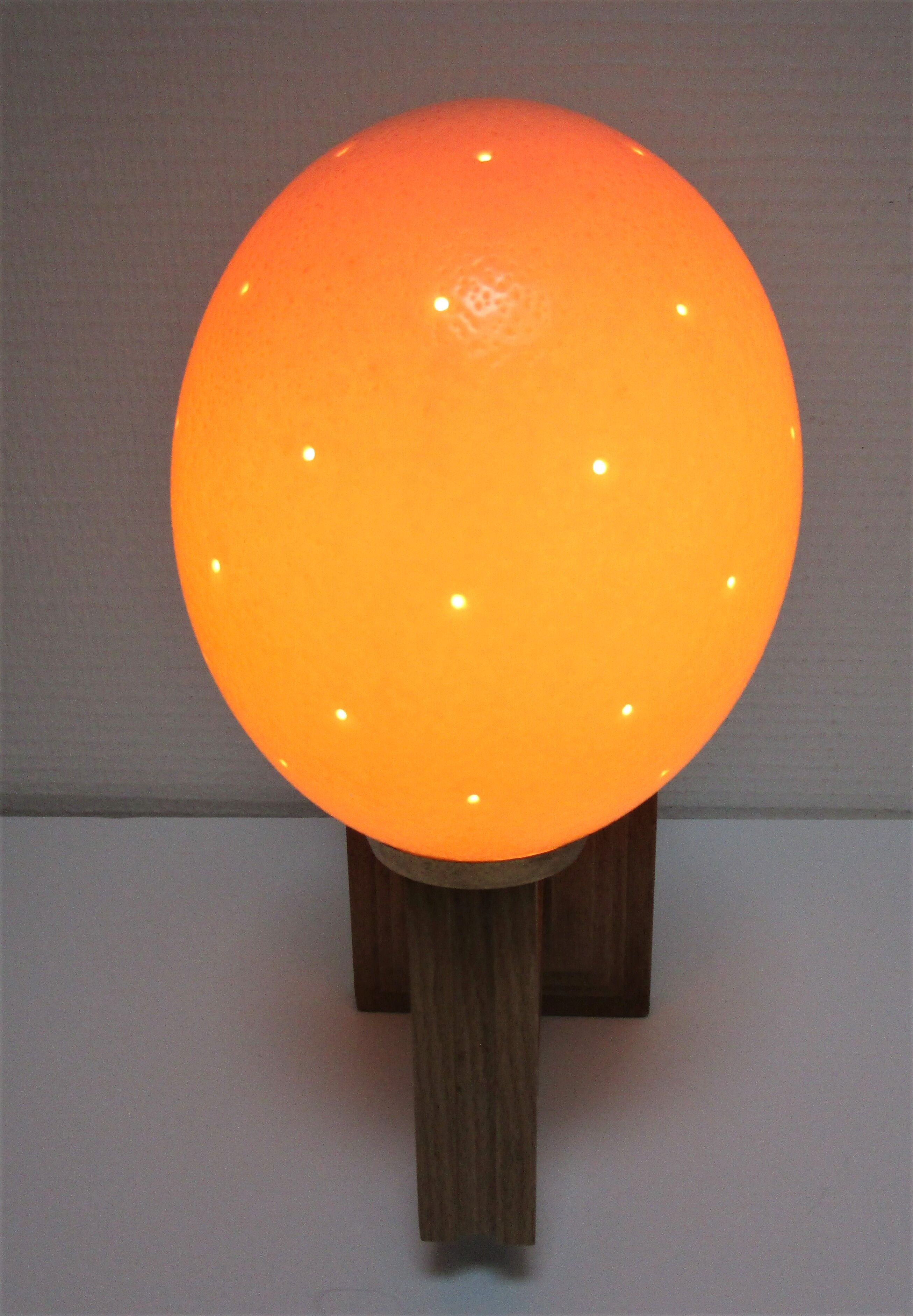 Ostrich egg wall lamp and vintage wood