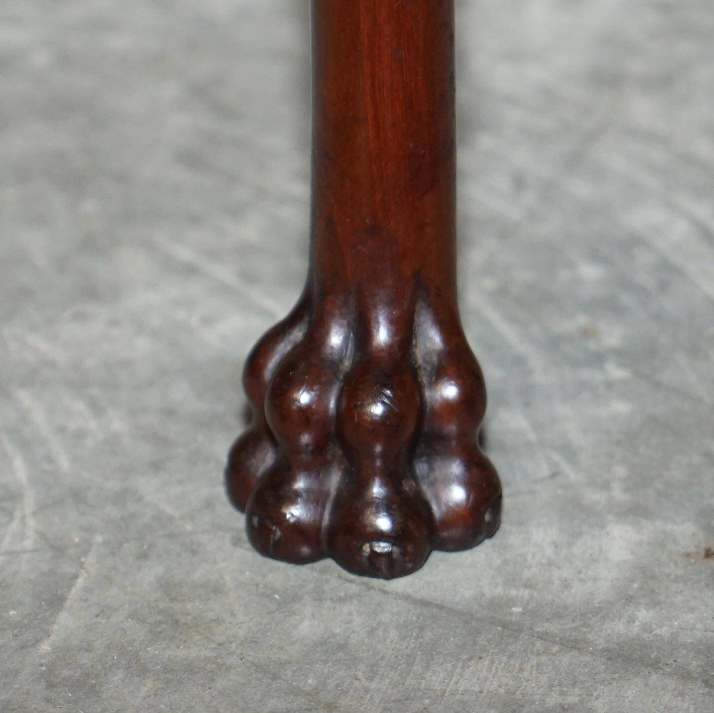 Paire de chaises anglaises anciennes en bois dur avec pieds sculptés en patte de lion