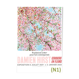 Damien Hirst