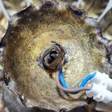 Ceiling sun, Spain 1970s