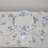 Set of 11 plates dessert and 1 dish of the pottery of onnaing