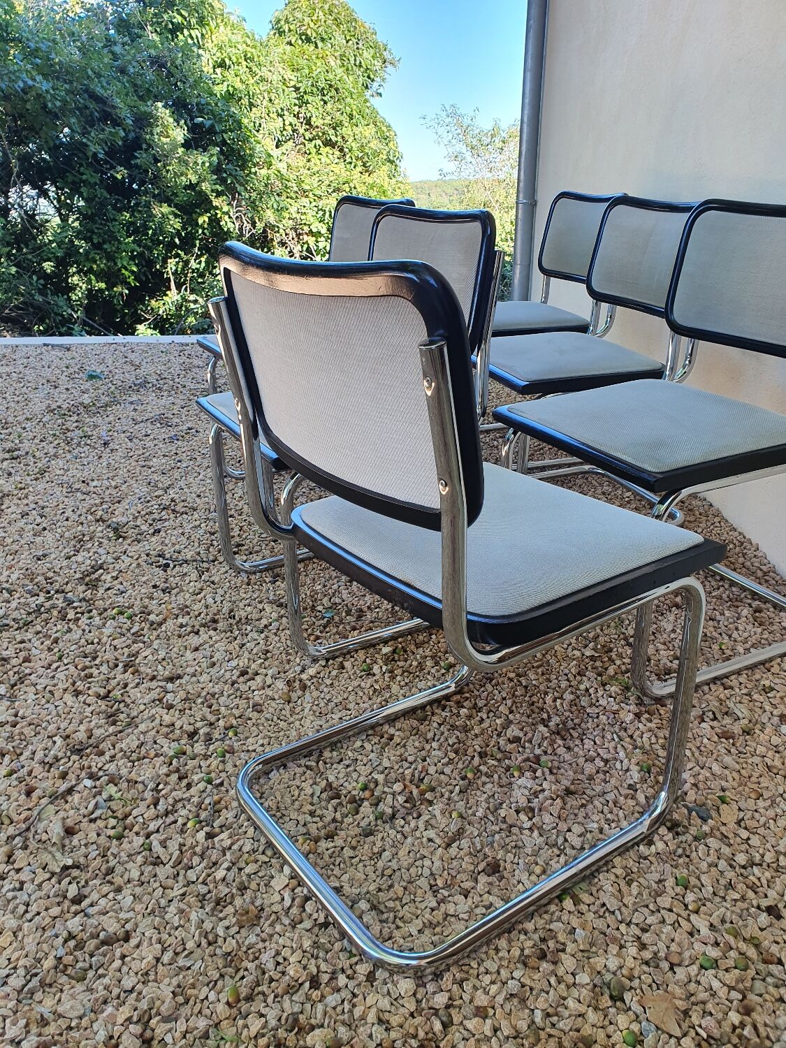 6 Cesca chairs