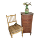 Little ragpicker