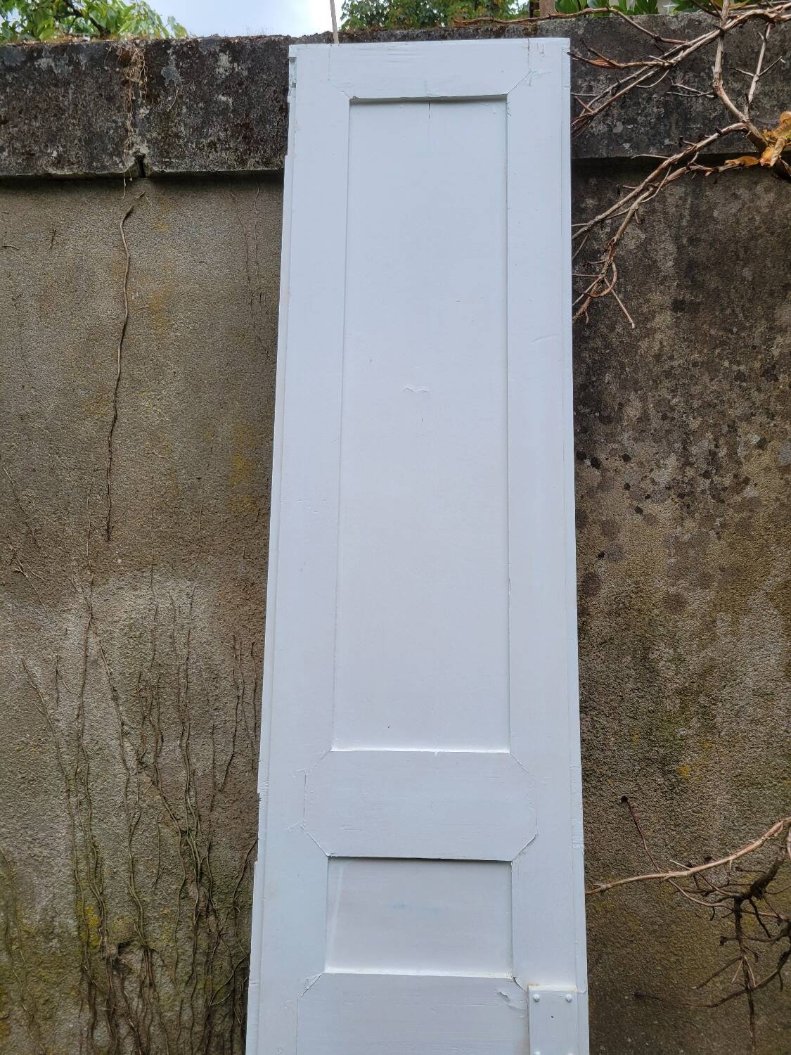 Old wall cupboard door H.239cm