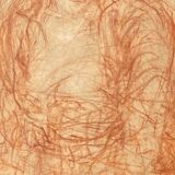 Blood portrait of a woman Period Napoleon I Early nineteenth century