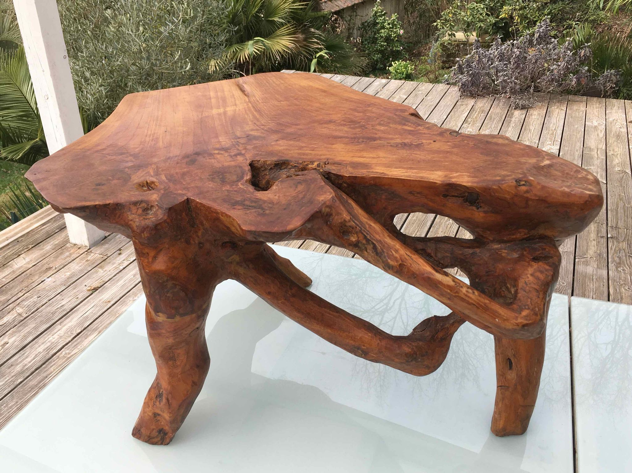 Brutalist teak root coffee table