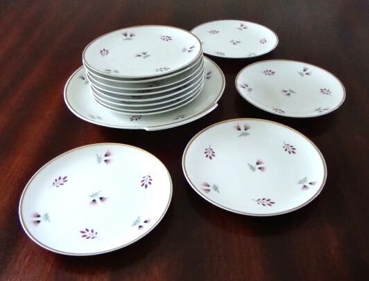 Set 12 plates and 1 porcelain dessert dish