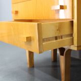 Paire de commodes Frantisek Mezulanik des années 1960, Tchécoslovaquie
