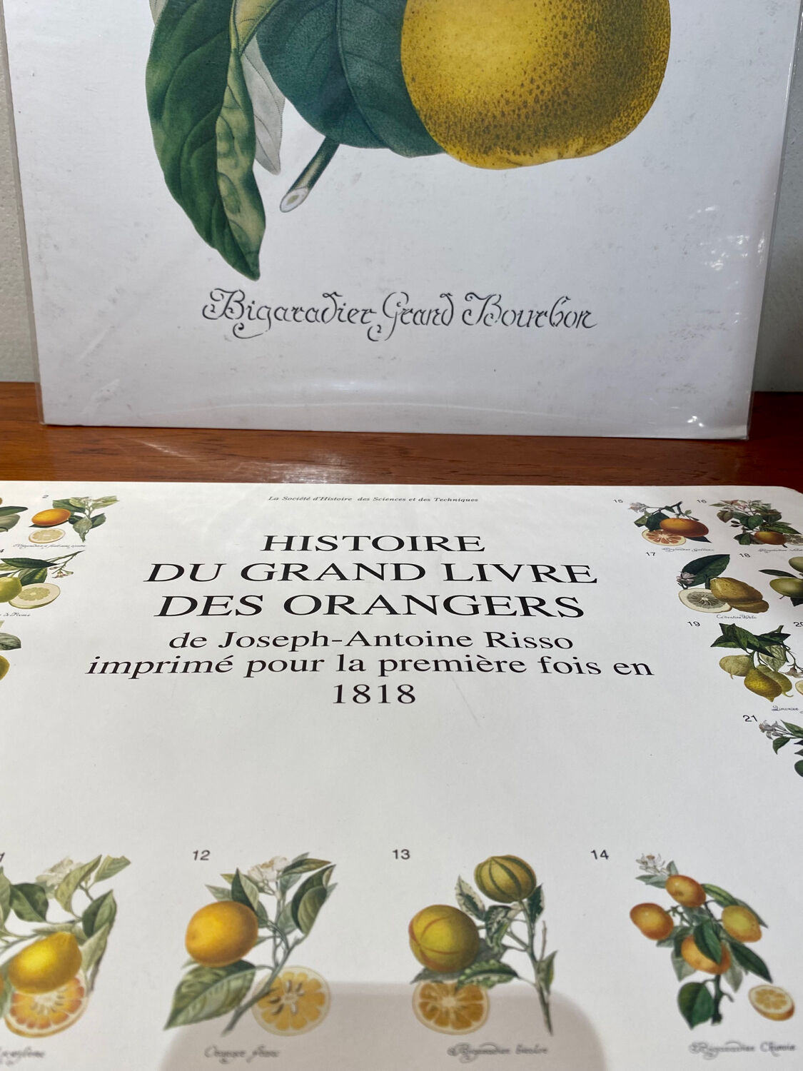 Risso Citrus Lithograph