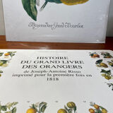 Risso Citrus Lithograph