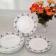 Digoin Sarreguemines earthenware plates Vintage Salies model