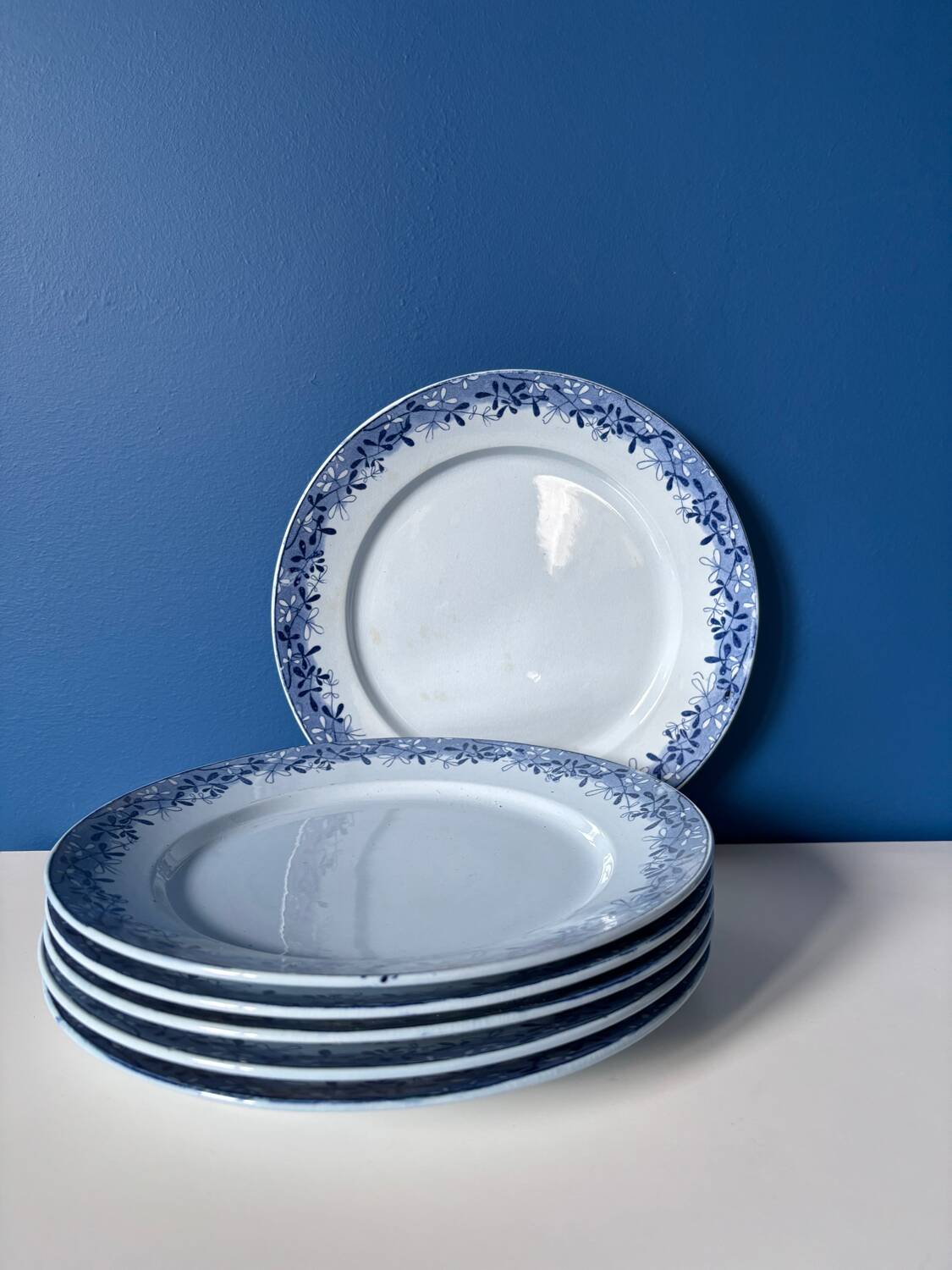 Set of 6 mimosa plates from Sarreguemines, old blue earthenware
