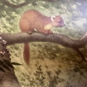 Affiche scolaire en lin vintage – Dans la forêt (M.A. Koekkoek)