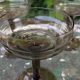 Vintage smoked glass coupes from the 1970s.