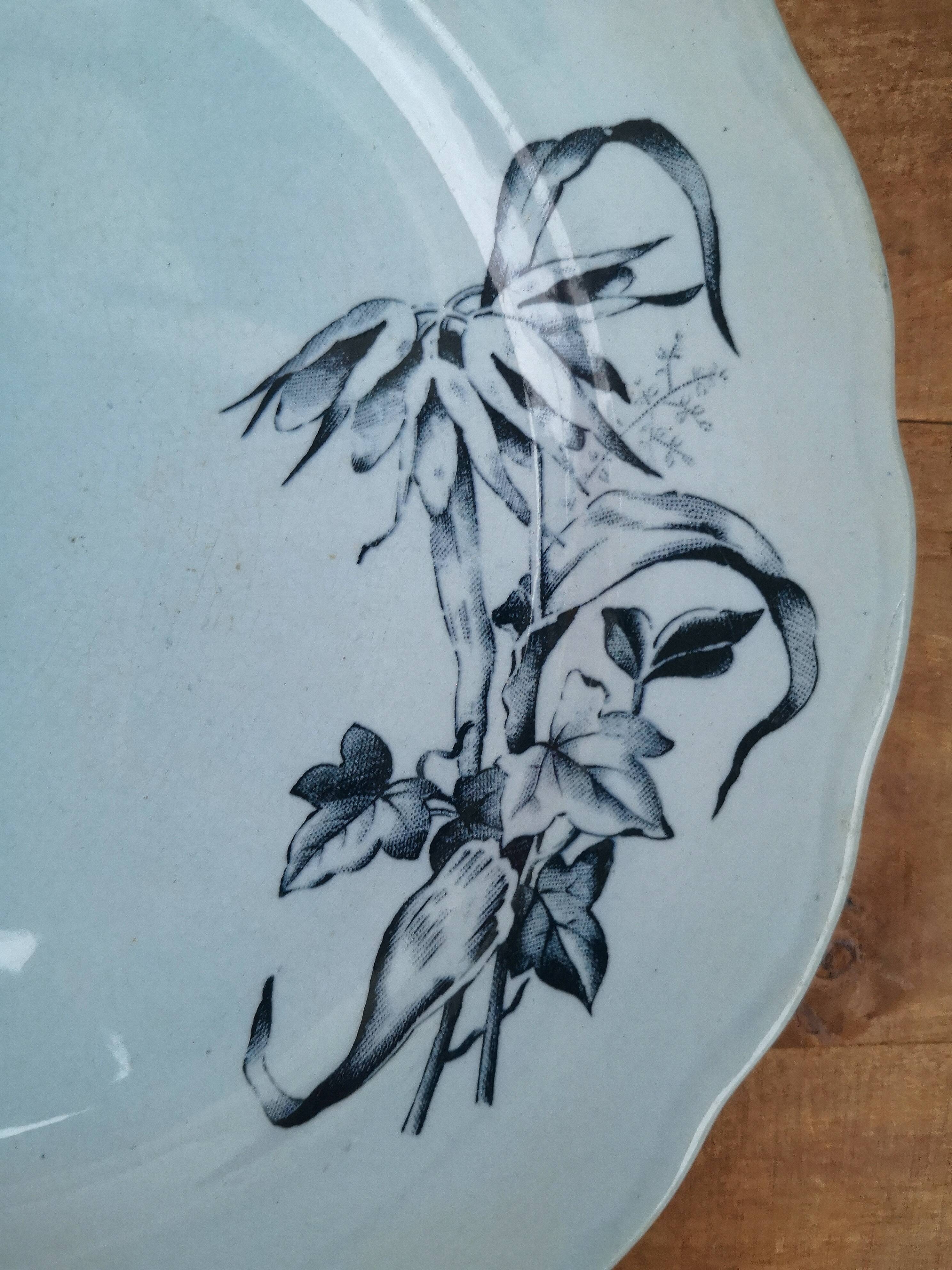 Very rare old ironstone plate