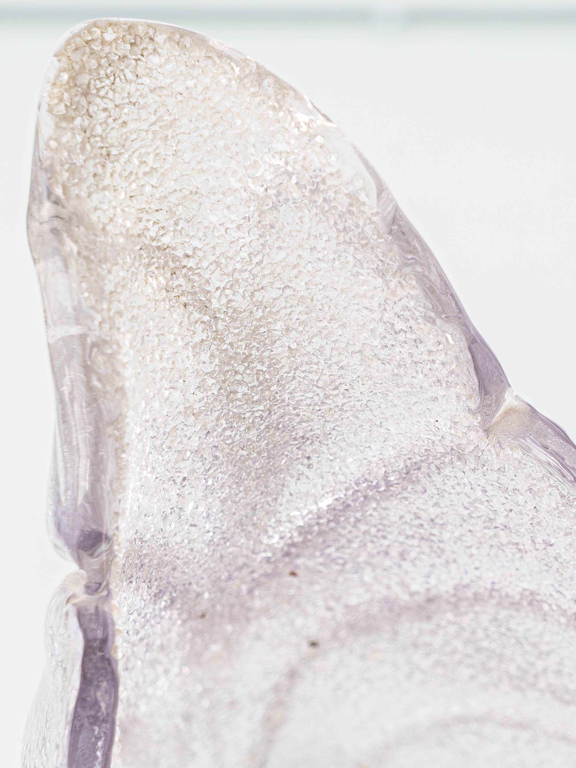 Murano Graniglia Glass Double-Leaf Brass Wall Sconce, Italy, 1960s