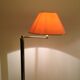 Floor lamp with articulated arm