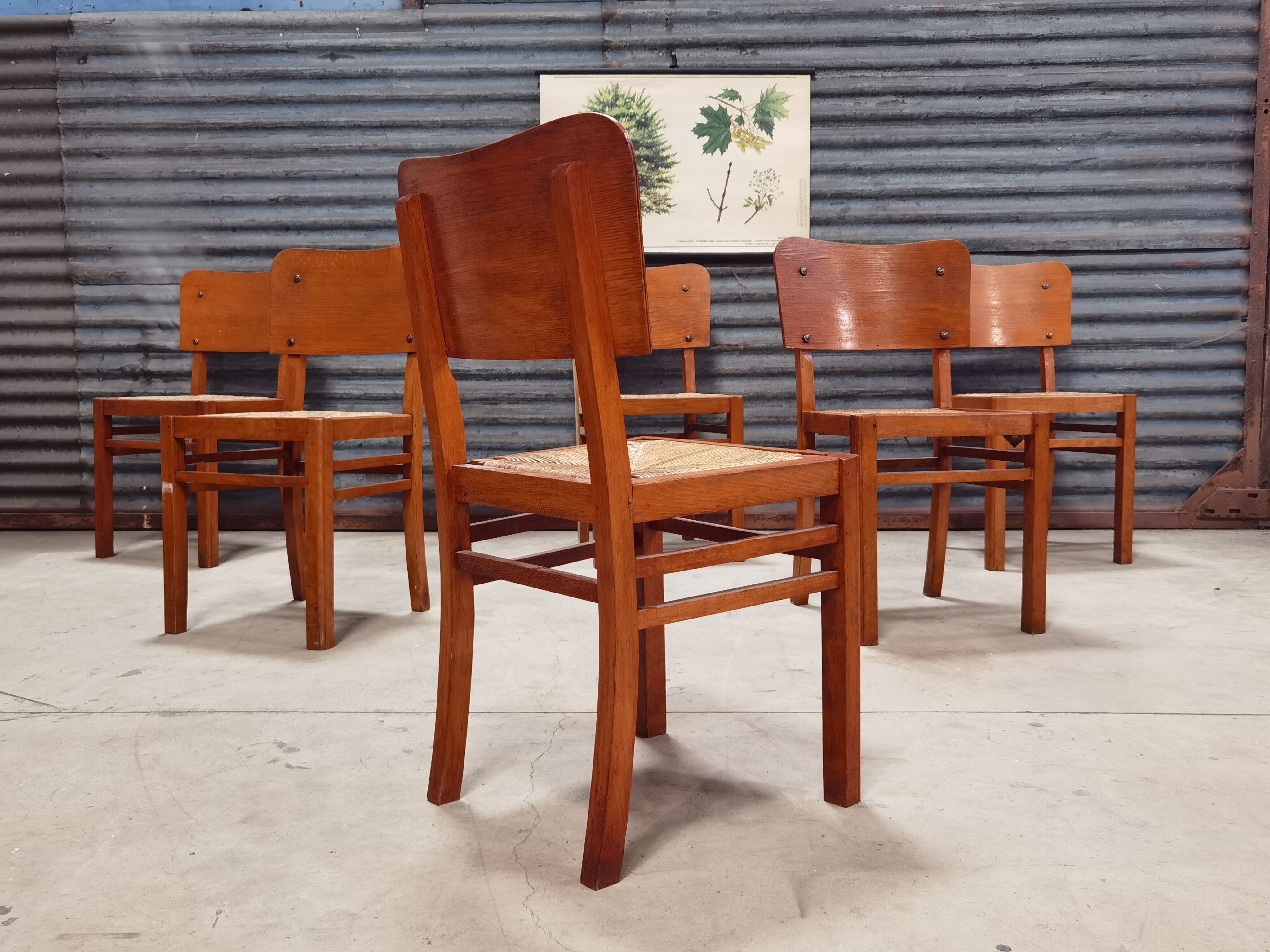 Set of 6 straw wood chairs 1950